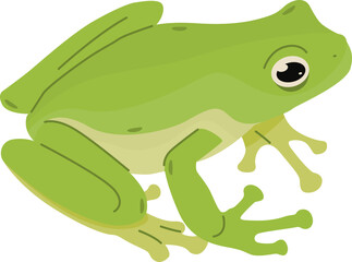 Frog Sitting Cartoon Illustration