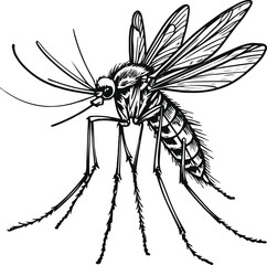 Mosquito insect doodle, hand drawn thick lines, long legs, wings and pointed mouth, black and white minimal vector style
