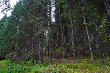 National Nature Park. Mountainous area with different vegetation.  Cloudy, raining.