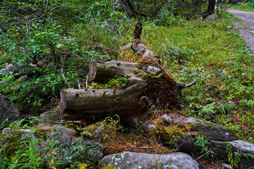 National Nature Park. Mountainous area with different vegetation.  Cloudy, raining.