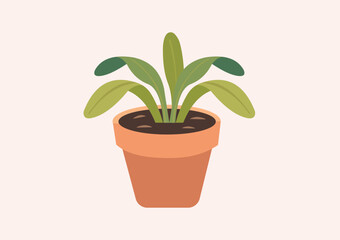 Flat style vector illustration of indoor houseplants in pots. Includes tropical, exotic, and decorative foliage such as monstera, aloe, ficus, palm, for modern interior decoration.