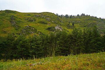 National Nature Park. Mountainous area with different vegetation.  Cloudy, raining.