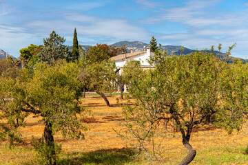 Mallorcinische Landschaft - Tramuntana