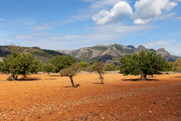 Mallorcinische Landschaft - Tramuntana