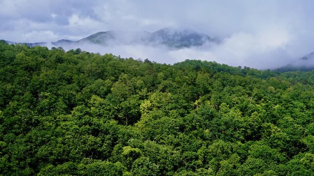 Drone captures cinematic passage into hazy skies.
