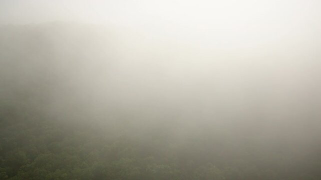 Drone footage gliding into a fog-covered Smoky Mountain landscape.