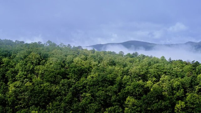 Drone shot moving gracefully through morning fog.