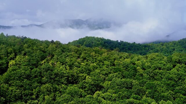 Aerial drone tracking into foggy wilderness terrain.