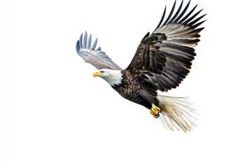 Obraz premium A majestic bald eagle soaring through the sky, showcasing its powerful wings and distinct coloration. This stunning bird is a symbol of freedom and strength in nature.