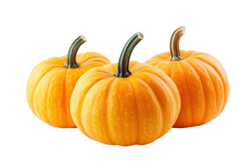 Obraz premium Three orange pumpkins, autumn harvest vegetables, fall season gourds, halloween decoration elements, thanksgiving, isolated on transparent background