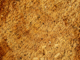 Detailed Macro View of Sawdust and Wood