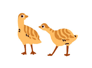 Cute turkey poults. Funny chickens, joyful chicks, happy ducklings, kids of ducks and geese. Baby poultry, domestic birds, farm animals. Barnyard fowl. Flat isolated vector illustration on white