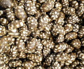 Peanuts with chocolate