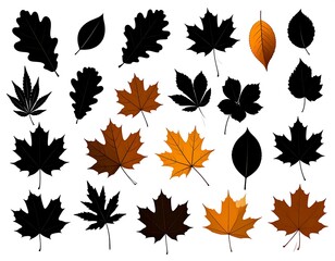 Autumn leaves silhouettes
