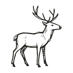 Obraz premium PNG Hand-drawn deer illustration art.