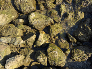 wet rocks on the seaside