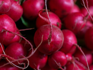 fresh red radishes at organic market