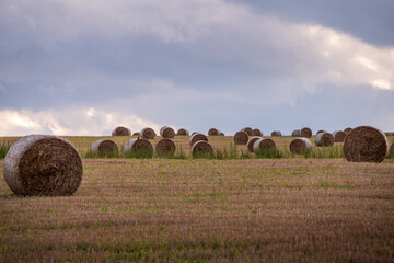 Round straw bales on a harvested farmland field with cloudy dramatic sky after summer cereal...
