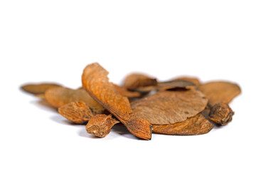 Reifer Ahornsamen vor weißem Hintergrund