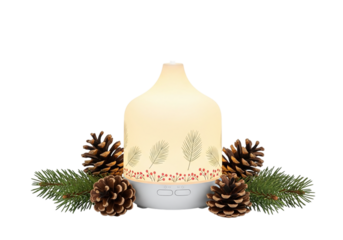 Christmas aroma diffuser with pine cones isolated on transparent background
