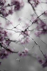 Cracked Glass with Pink Blossoms: Abstract Floral Art
