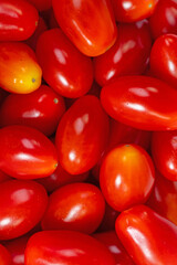 Datteltomaten in einer Nahaufnahme