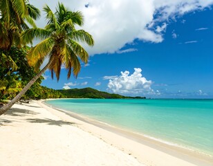 Tropical Beach Paradise with Palm Trees and Turquoise Ocean Water.