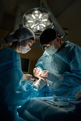 surgeons perform plastic surgery