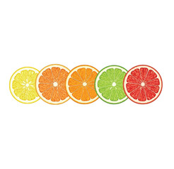 citrus fruits isolated on white background