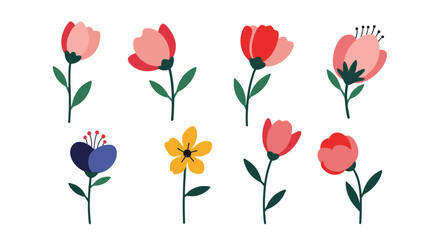 Charming collection of colorful blooming flowers with delicate green stems and leaves