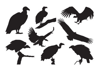 Vulture vector, Vulture clipart, Vulture silhouette