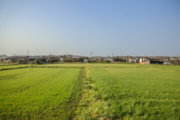 March 25 2025 Peaceful Urban Landscape with a River and Surrounding Architecture, Japan