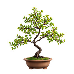 Lush Green Bonsai Tree in Elegant Pot on a Transparent Background