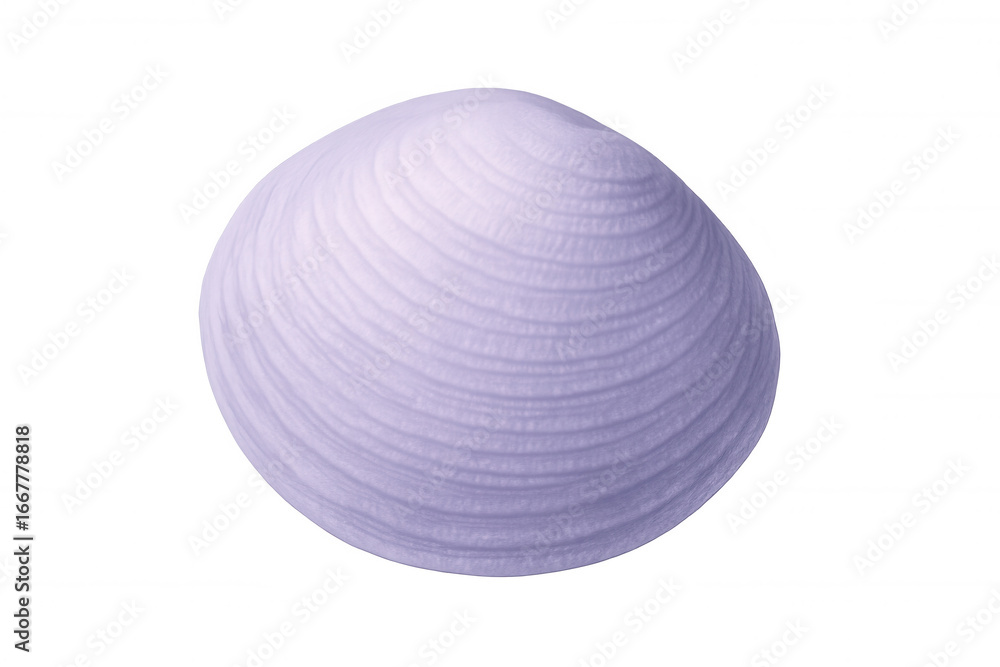 Poster purple seashell with concentric ridges resting on clean white surface, showcasing delicate texture a