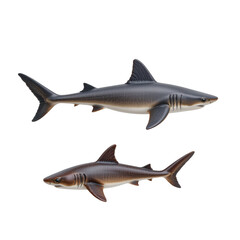 Realistic Toy Shark Models for Educational Purposes and Playtime Fun