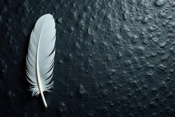 Single white feather against charcoal-grey stone backdrop , minimal, texture