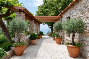 Fototapeta premium Mediterranean terrace with olive trees and pergola overlooking the sea