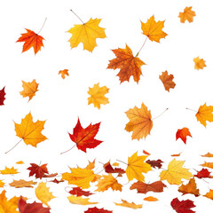 Falling autumn leaves isolated on transparent background