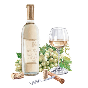 watercolor white wine bottle, glass, grapes clip art preview