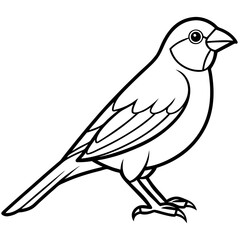 Fototapeta premium Canary line art vector