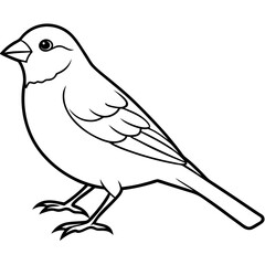 Canary line art vector