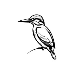 Obraz premium Detailed hand-drawn kingfisher bird perched on a branch naturalistic sketch style white background