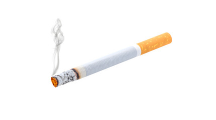 A burning cigarette emitting smoke
