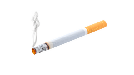 A burning cigarette emitting smoke
