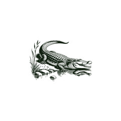Fototapeta premium Engraving logo of a crocodile resting by the edge of a calm lake, illustrated in detailed black and white engraving style