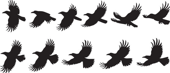 Flying raven silhouette vector: animation sequence of bird flight eps © Focus Haven