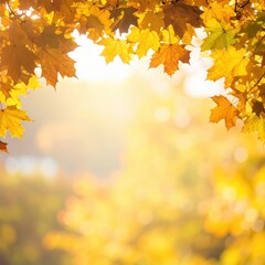 Fototapeta premium a beautiful overhead shot of a branch with yellow and orange autumn leaves with bright light