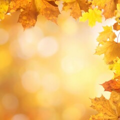 golden autumn maple leaves with a blurred background and sunlight streaming through the image, it looks like autumn background and warm light