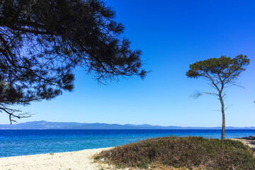 Kassandra coastline near Lagoon Beach, Chalkidiki, Greece