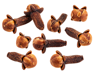 Colorful meal prep containers organized Isolated on Transparent or White Background